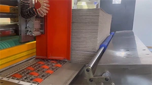 5-цветная флексопечатная линия в Беларуси